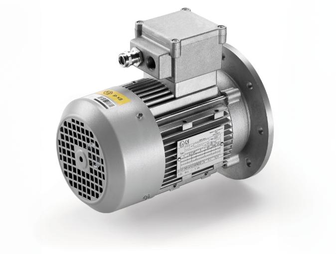 Atex motors zone 1 and 21