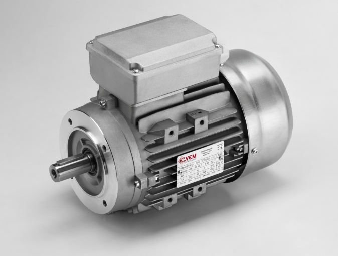 Single-phase asynchronous motor