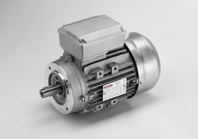 Single-phase electric motors