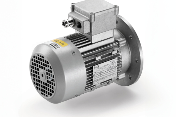 Atex motors zone 1 and 21
