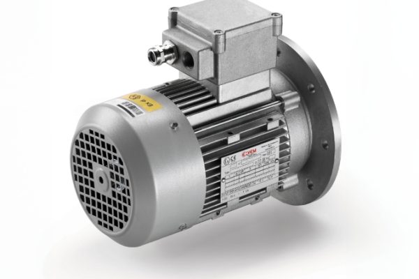 Atex motors zone 1 and 21
