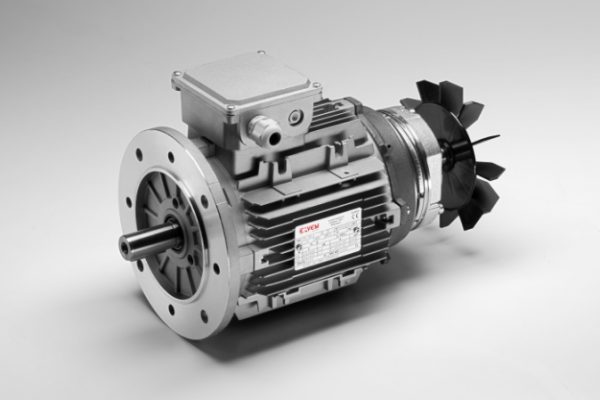 Electric motors